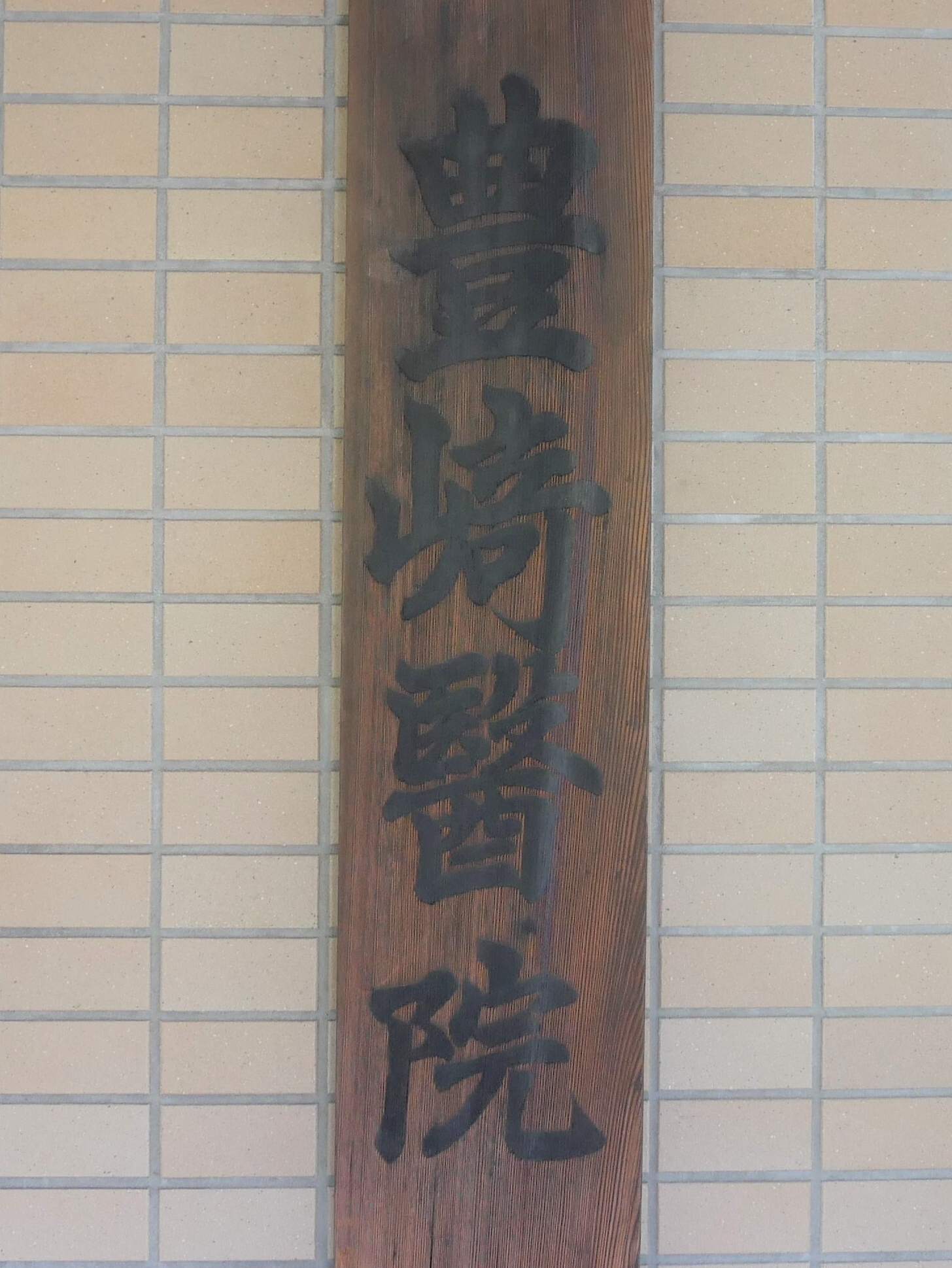 表札,元住吉駅,豊崎医院.神奈川県,川崎市,中原区,内科,循環器内科